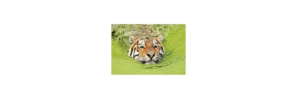 Tierwelten