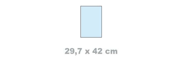 Format 29,7 x 42 cm