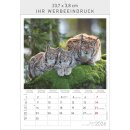Wald & Flur Format 23,7 x 34 cm