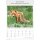 Wald & Flur Format 23,7 x 34 cm