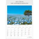Gesichter unserer Natur - Format 23,7 x 34 cm