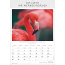 Gesichter unserer Natur - Format 23,7 x 34 cm