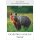 Gesichter unserer Natur - Format 23,7 x 34 cm