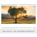 Naturwunder - Format 49,5 x 39,5 cm