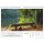 Schwarzwald Format 42 x 29,7 cm