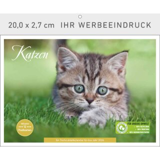 Katzen - Format 20 x 16,6 cm Tischaufstellkalender