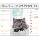 Katzen - Format 20 x 16,6 cm Tischaufstellkalender