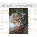 Katzen - Format 20 x 16,6 cm Tischaufstellkalender