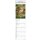 Carl Larsson Format 11,9 x 42 cm