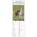 Tierkinder Format 11,9 x 34 cm