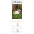 Tierkinder Format 11,9 x 34 cm