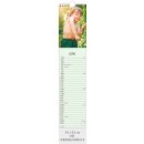 Apothekenkalender - Format: 9,5 x 45,8 cm
