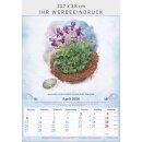 100-jähriger Kalender mit Wetterprognosen 23,7 x 34 cm