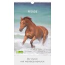 Pferde Format 23,7 x 34 cm