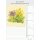 Farbige Pflanzenwelt - Format 23,7 x 34 cm