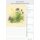 Farbige Pflanzenwelt - Format 23,7 x 34 cm
