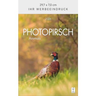 Photopirsch - Format 29,7 x 42 cm