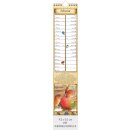 100-jähriger Kalender - Format: 9,5 x 45,8 cm