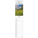 Alpen Pur - Format: 9,5 x 45,8 cm