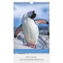 Tierisch cool  -  Format 23,7 x 34 cm