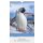 Tierisch cool  -  Format 23,7 x 34 cm