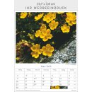 ABC-Heilpflanzen Kalender 23,7 x 34 cm