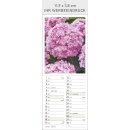 Farbige Blumenwelt - Format 11,9  x 34 cm