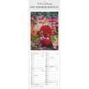 Farbige Blumenwelt - Format 11,9  x 34 cm