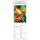 Farbige Blumenwelt - Format 11,9  x 34 cm