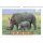 Erlebte Wildnis  -  Format 42 x 29,7 cm