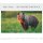 Faszination Natur - Format 42 x 29,7 cm